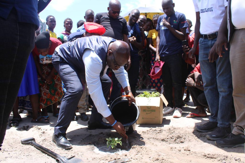 tree planting